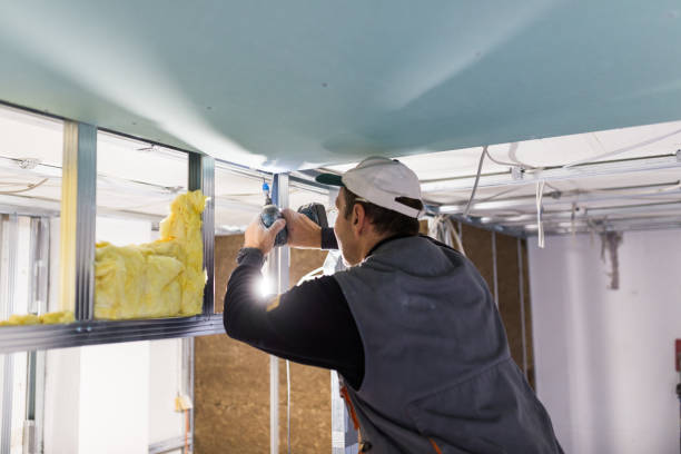 Best Spray Foam Insulation in Ruckersville, VA