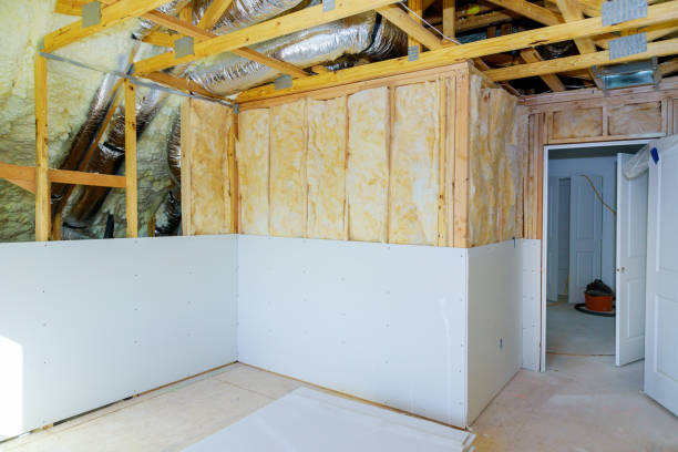 Best DIY Insulation Kits and Guidance in Ruckersville, VA