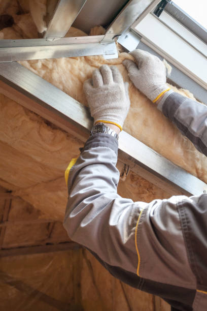 Types of Insulation We Offer in Ruckersville, VA