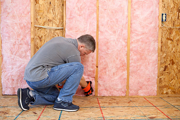 Best Energy Efficiency Insulation in Ruckersville, VA